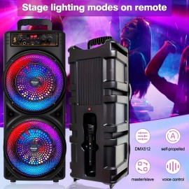 Large Outdoor Portable Wireless 3D Speaker, Professional Wireless Karaoke Machine with Microphone, RGB Light, 2400mAh Rechargeable Battery, USB Charging - Perfect for Family Gatherings, and Parties, Travel, Home Entertainment