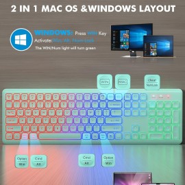 Wireless RGB Backlit Keyboard And Mouse Set with 2000 DPI, Rechargeable Quiet Mouse, Ergonomic Slim Design, Compatible with Windows And Mac Laptops.
